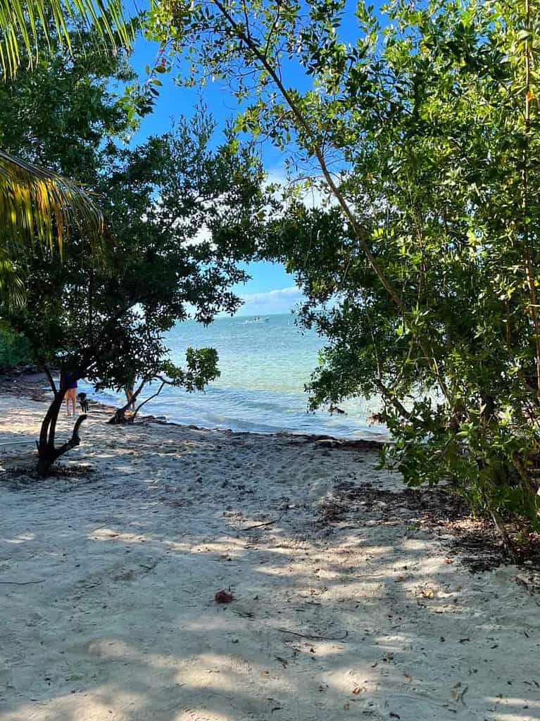 Hammock view Florida Keys Camping Spot