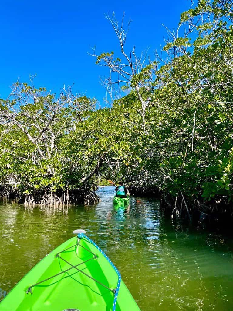 Kayaking in Key Largo camping in the keys