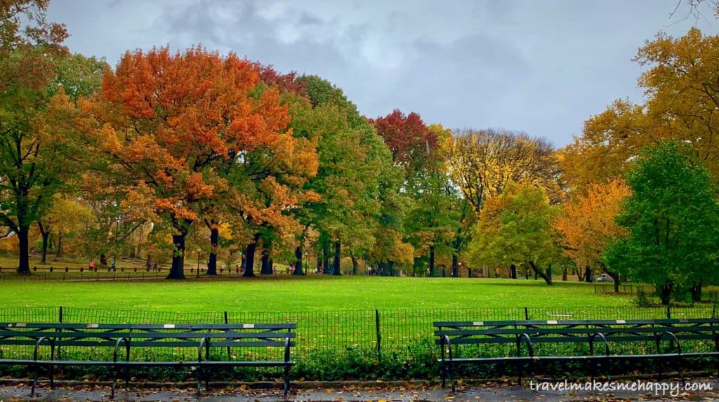 fall leaves best colors central park new york city