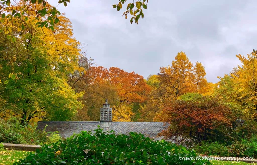 fall colors central park new york beautiful