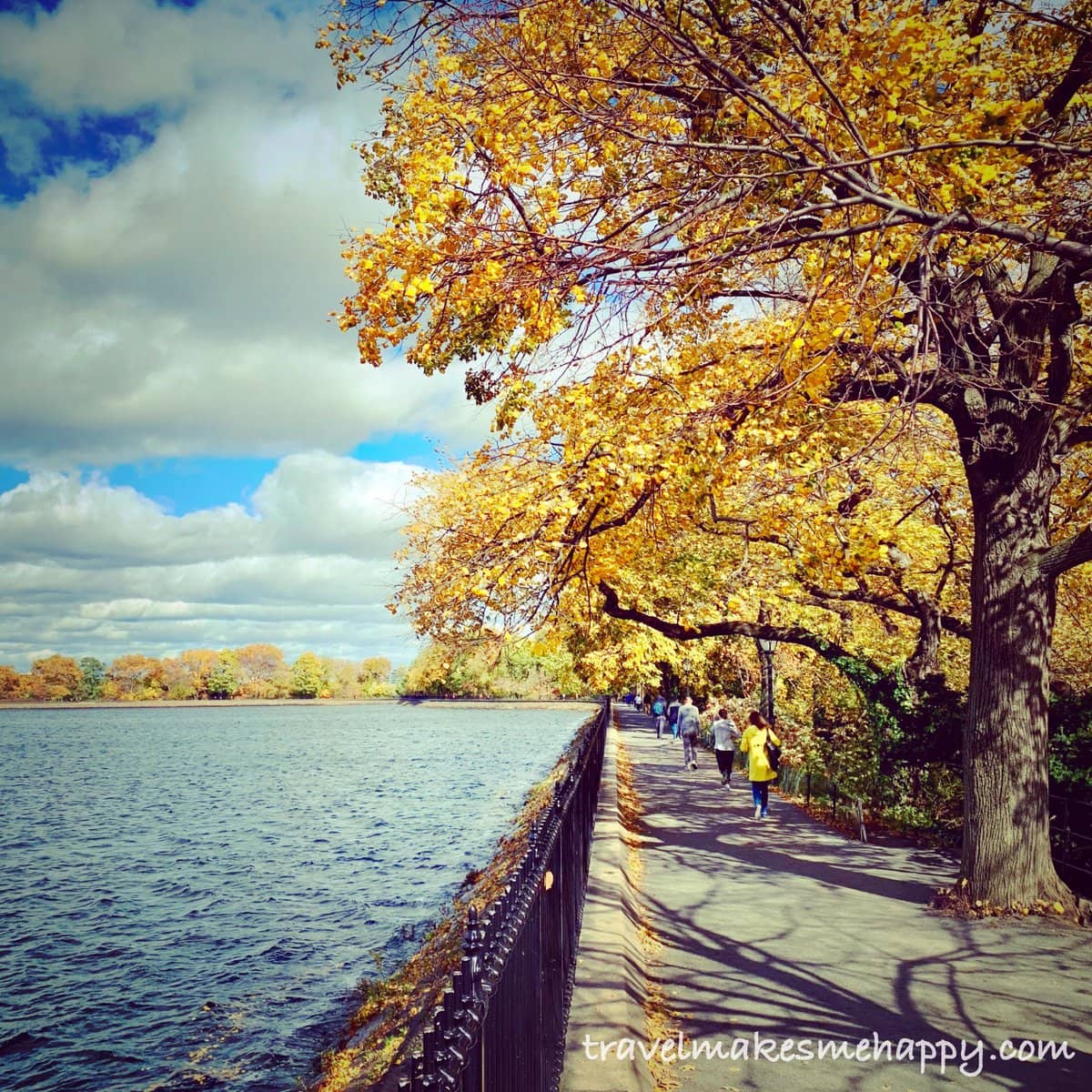 Beautiful Fall Colors in New York City's Central Park Trip Idea