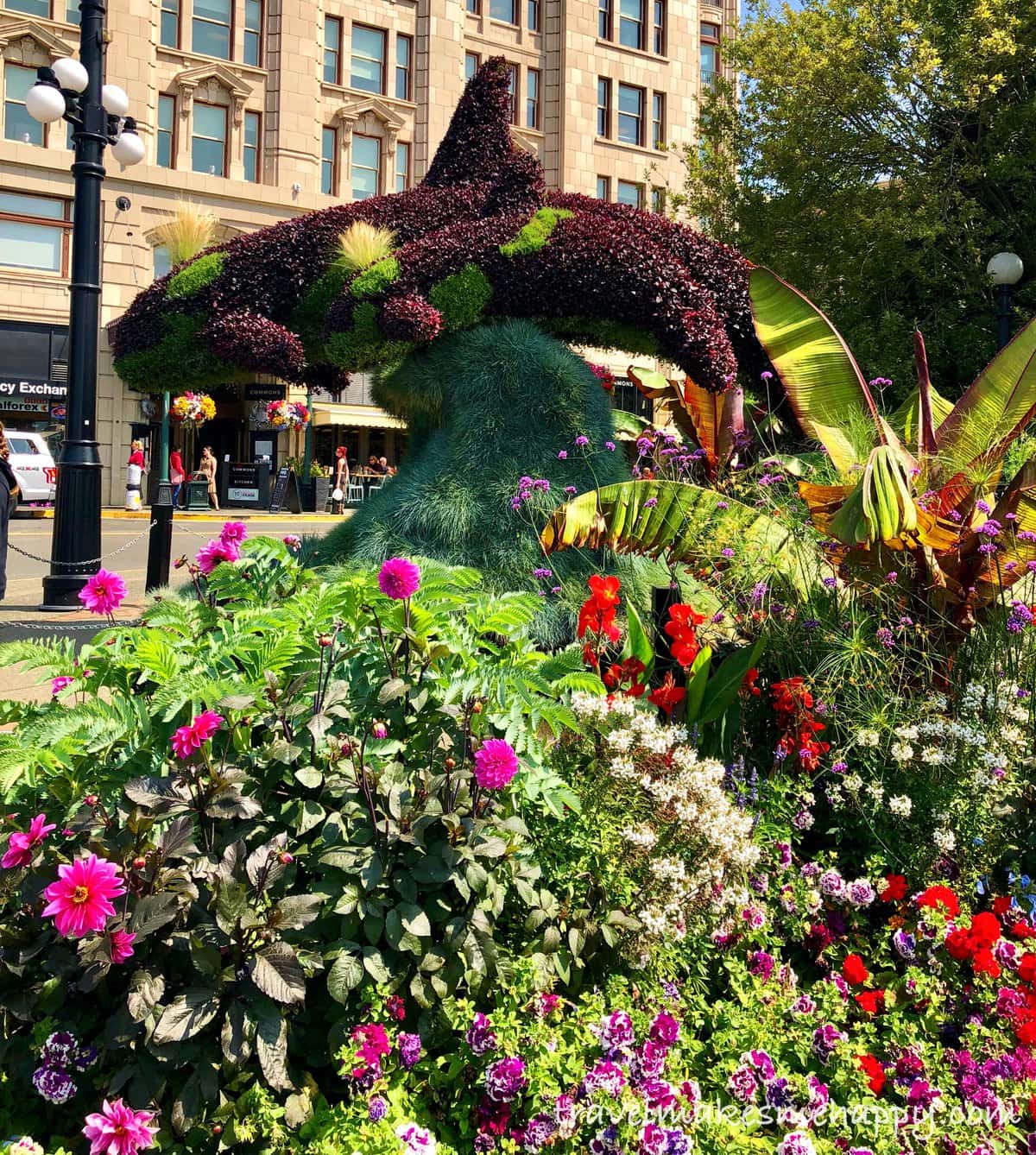 orcha topiary garden victoria british columbia trip idea