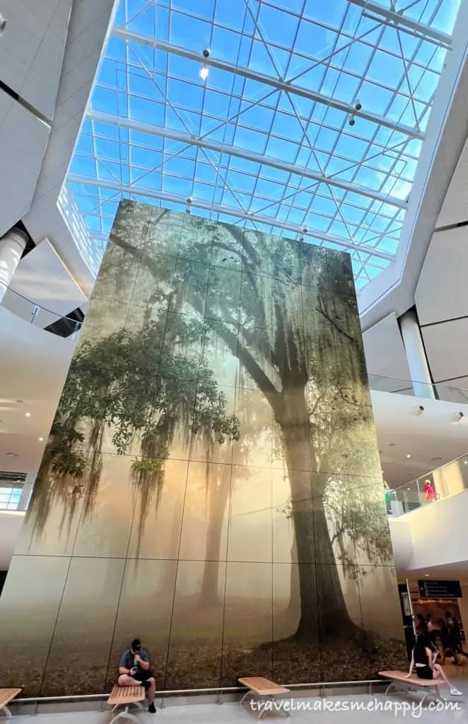 MSY Airport in New Orleans