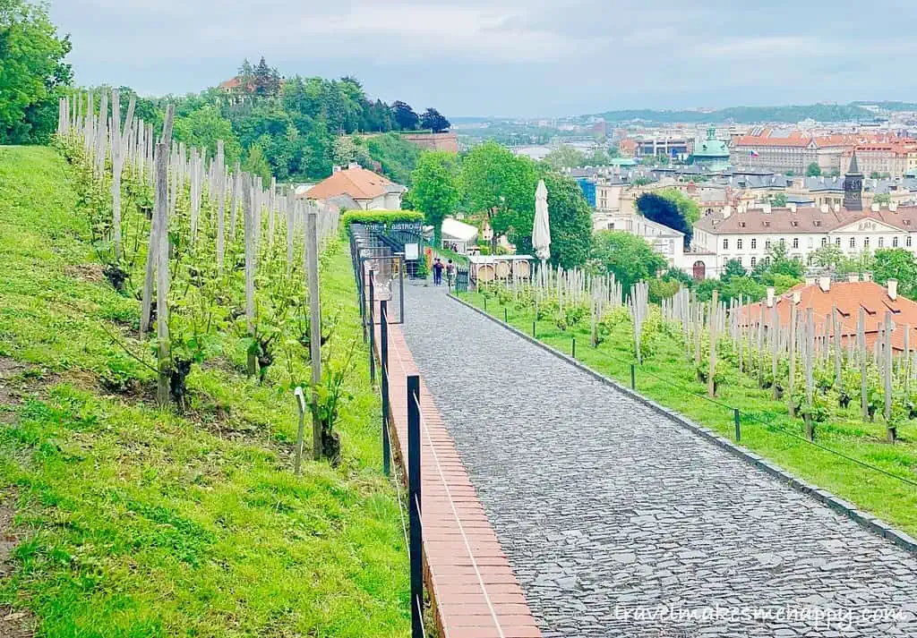 vineyards at prague castle dinner