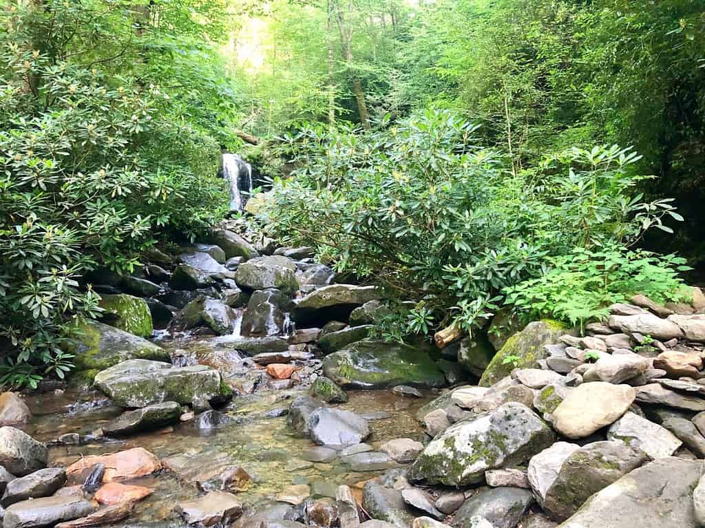 Hiking trails Waterfalls in Smoky Mountains