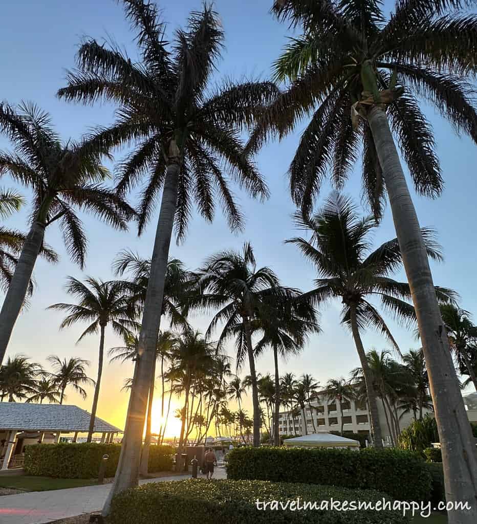 casa marina key west palm trees grounds sunset