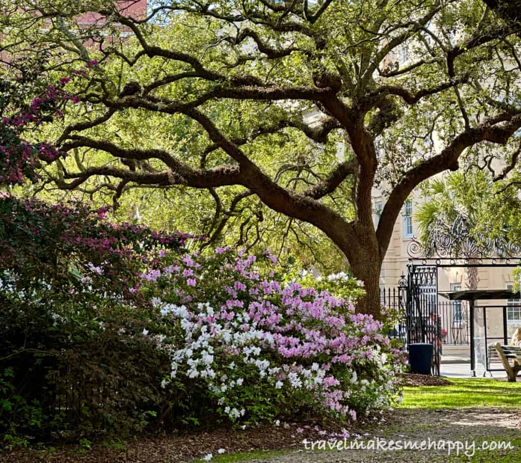 lush gardens charleston historic weekend