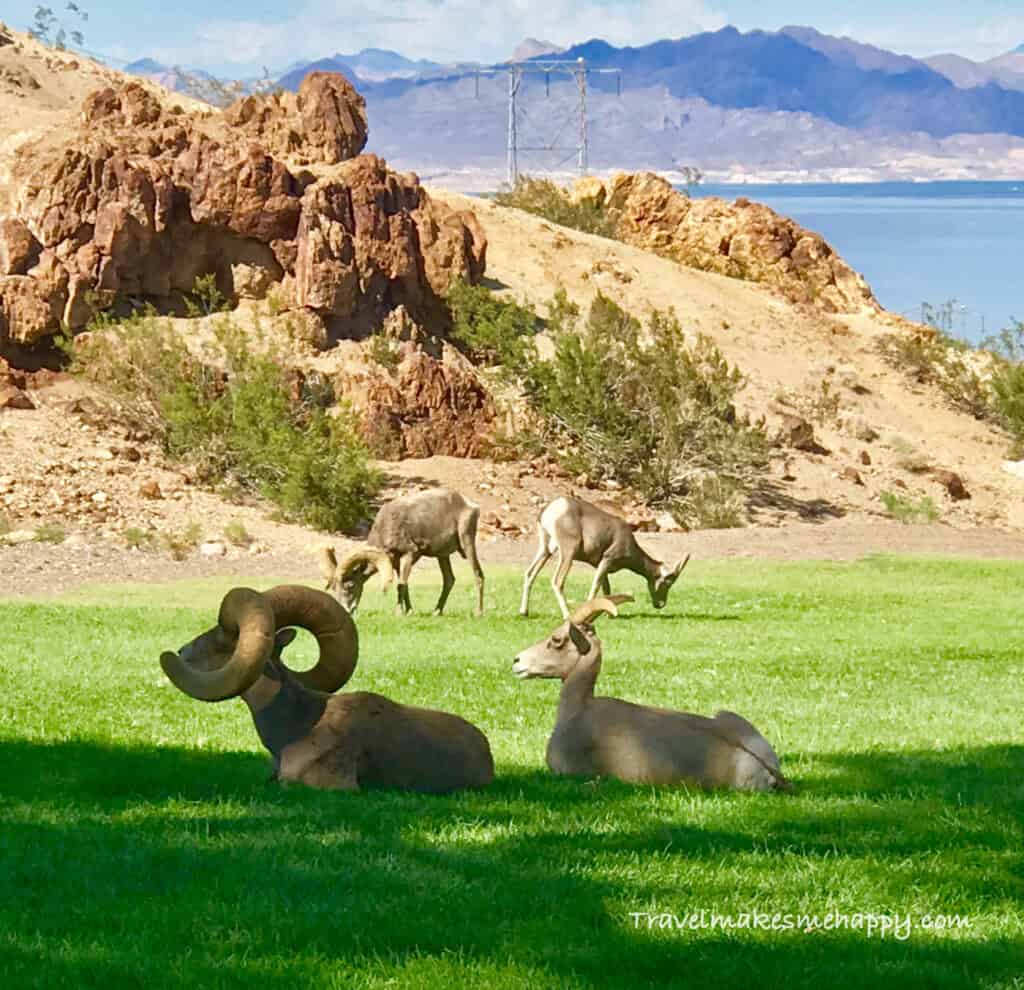 hemenway valley park boulder city hidden gem outside vegas strip