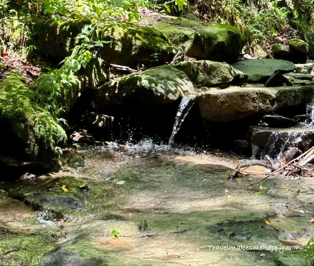 hiking and camping spots in great smoky mountain national park