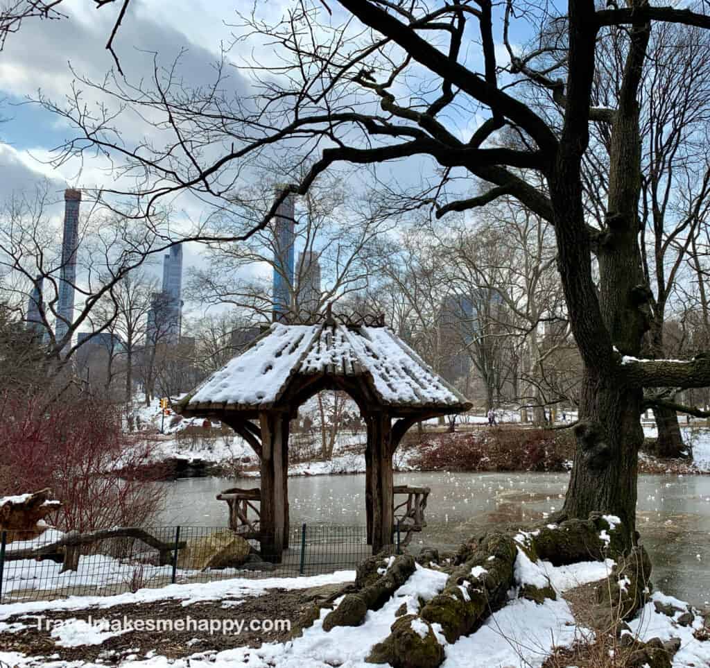 Central Park NYC iconic Landmark in winter