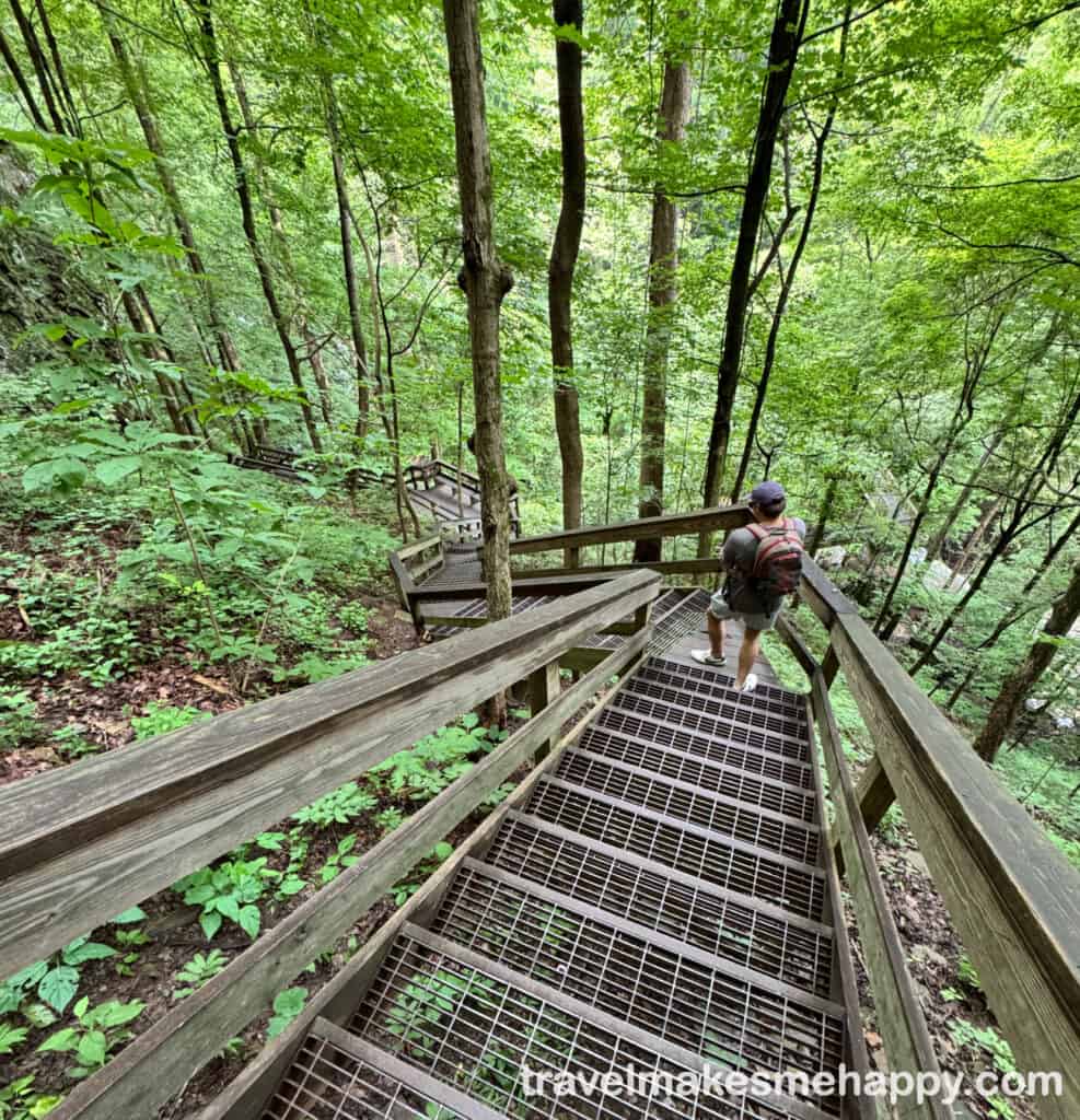 the steps down cloudland canyon hemlock falls best day trip from chattanooga