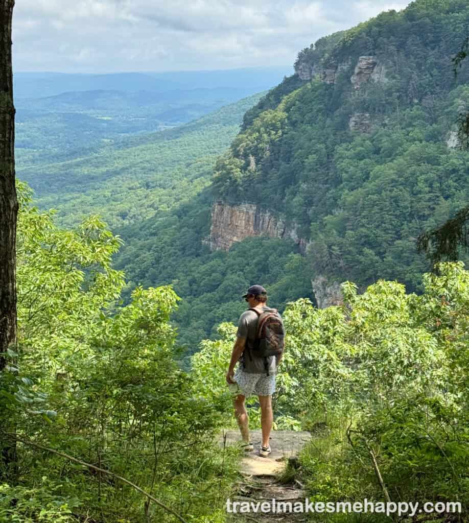 The view from Cloudland Canyon state park overlook trail