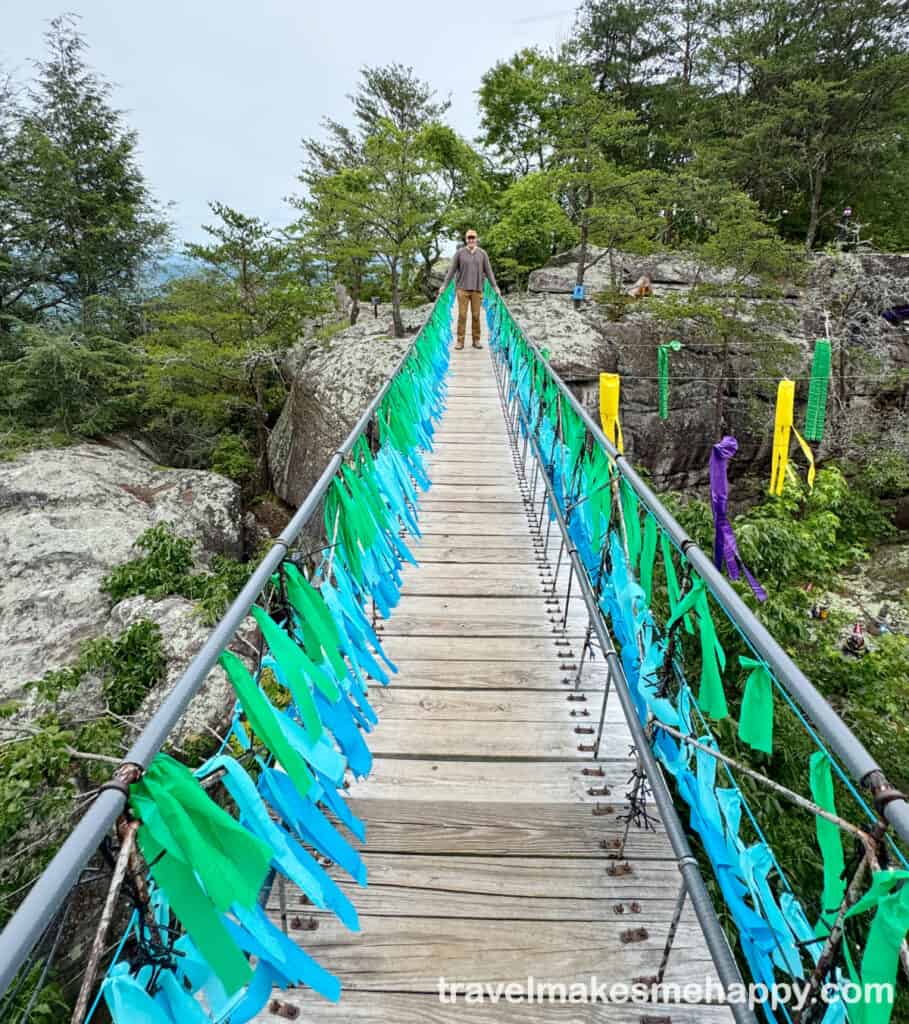 See Rock City also has a suspended bridge and amazing views!
