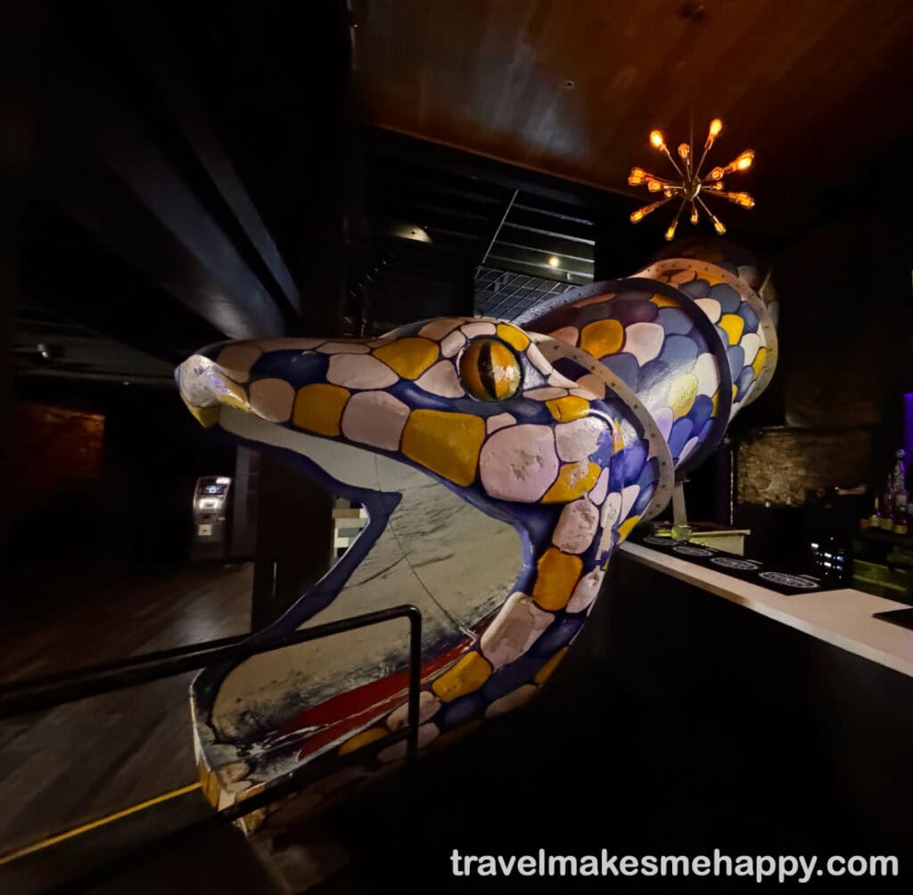 The giant snake slide in the aquarium bar on sixth street austin best bar