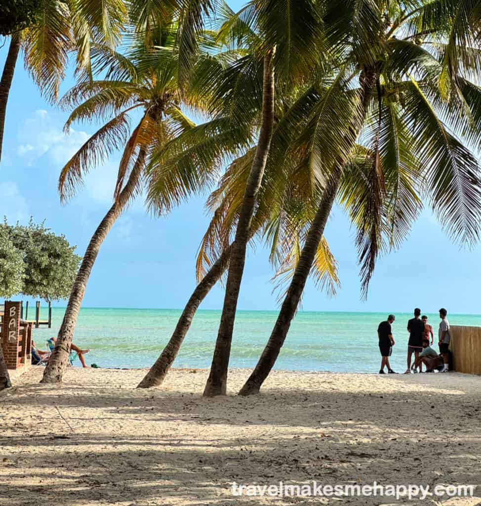 dog beach behind louie's backyard key west