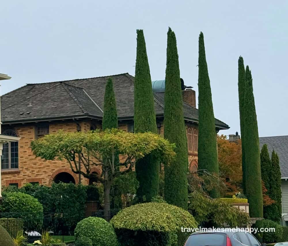 seattle georgetown neighborhood manicured house and garden