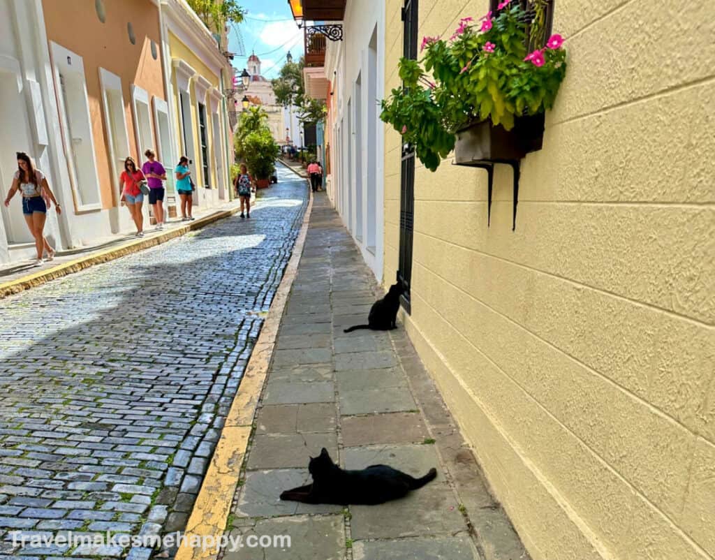 cat street old san juan cobblestone road with art in our travel guide