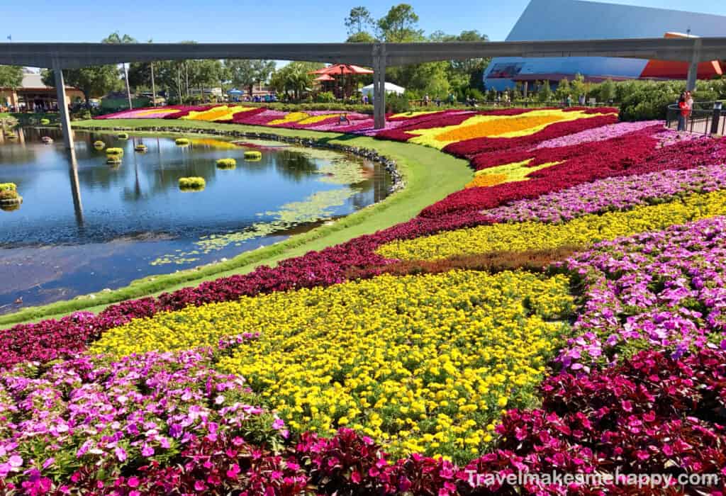 flowers at epcot disney food wine festival trip