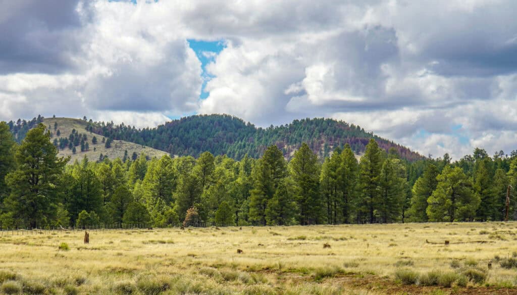 taos new mexico mountain view road trip