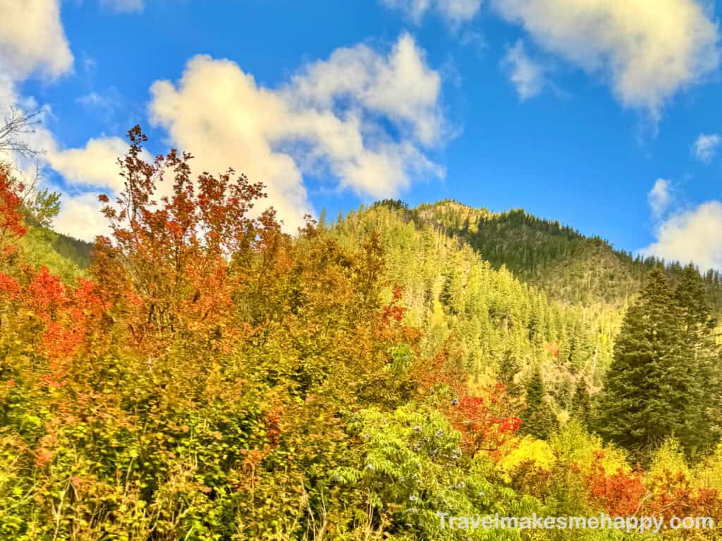 Fall yellow leaves best 7 scenic road trips for foliage view